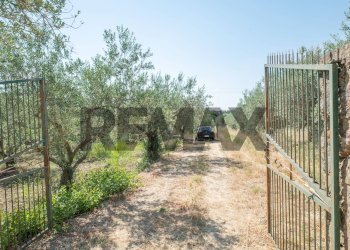 Giardino - Terreno agricolo Via Toniolo
 
20, Mirabella Imbaccari - foto 3