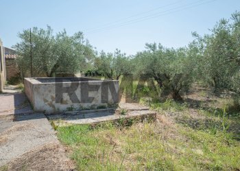 Giardino - Terreno agricolo Via Toniolo
 
20, Mirabella Imbaccari - foto 12