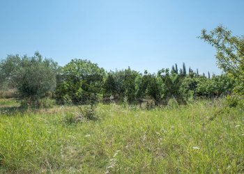 Giardino - Terreno agricolo Via Toniolo
 
20, Mirabella Imbaccari - foto 24