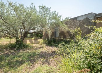 Giardino - Terreno agricolo Via Toniolo
 
20, Mirabella Imbaccari - foto 29