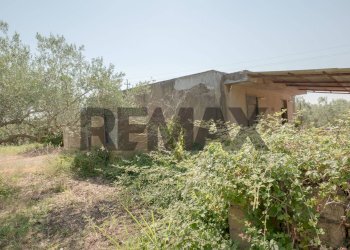 Giardino - Terreno agricolo Via Toniolo
 
20, Mirabella Imbaccari - foto 30