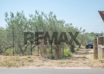 Giardino - Terreno agricolo Via Toniolo
 
20, Mirabella Imbaccari - foto 35