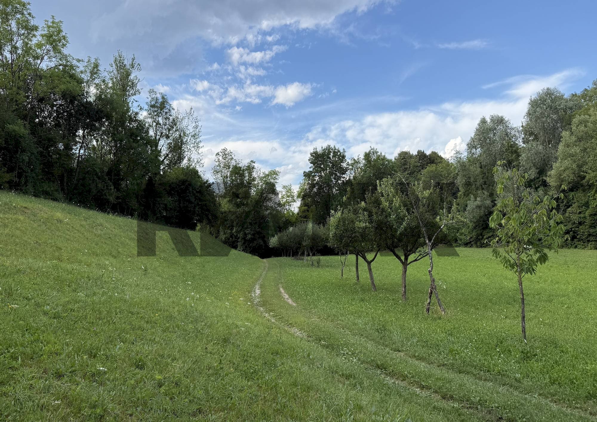 Giardino - Rustic Via Cet
snc, Belluno - photo 3