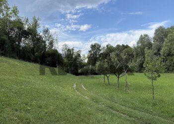 Giardino - Rustic Via Cet
snc, Belluno - photo 3