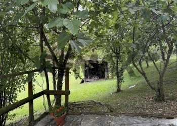 Giardino - Rustic Via Cet
snc, Belluno - photo 9