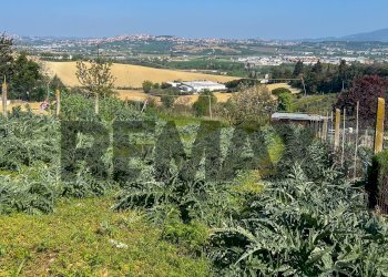 Vista delle montagne - Agricultural land Contrada San Francesco
6, Recanati - photo 14