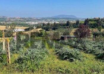 Vista delle montagne - Agricultural land Contrada San Francesco
6, Recanati - photo 15