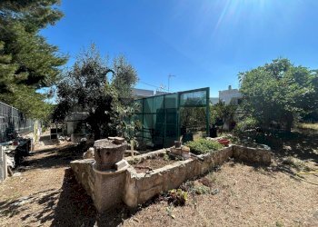 Giardino - Apartment Località Defensola
 
snc, Vieste - photo 54