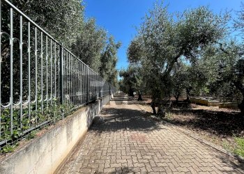 Giardino - Apartment Località Defensola
 
snc, Vieste - photo 57