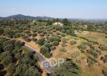 Foto 4 - Terreno edificabile Strada dei Colli
snc, Palombara Sabina - foto 4