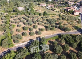 Foto 5 - Terreno edificabile Strada dei Colli
snc, Palombara Sabina - foto 5
