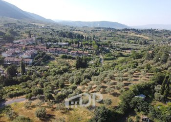 Foto 9 - Terreno edificabile Strada dei Colli
snc, Palombara Sabina - foto 9