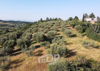Foto 15 - Terreno edificabile Strada dei Colli
snc, Palombara Sabina - foto 15
