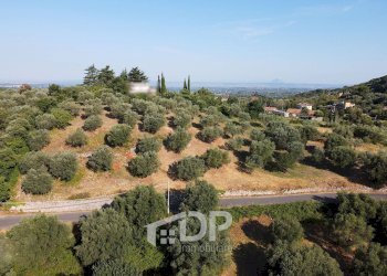 Foto 16 - Terreno edificabile Strada dei Colli
snc, Palombara Sabina - foto 16