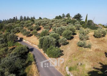 Foto 19 - Terreno edificabile Strada dei Colli
snc, Palombara Sabina - foto 19