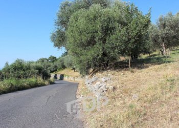 Foto 22 - Terreno edificabile Strada dei Colli
snc, Palombara Sabina - foto 22