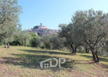 Foto 31 - Terreno edificabile Strada dei Colli
snc, Palombara Sabina - foto 31