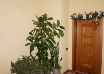 Foto 19 - Three-room apartment Via Cremona
 
9, Manerbio - photo 19