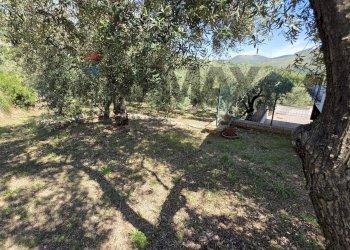 Giardino - Three-room apartment contrada vacastello
 
1, Itri - photo 19
