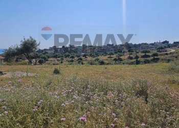 Vista delle montagne - Terreno agricolo Via Giuseppe Navarra Erudito
 
10, Termini Imerese - foto 10
