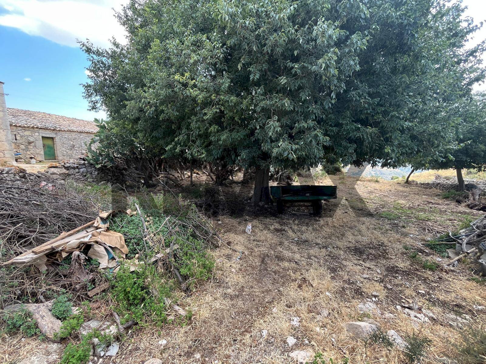 Giardino - Rustico viale delle americhe
SN, Ragusa - foto 3