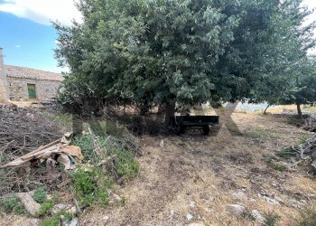 Giardino - Rustico viale delle americhe
 
SN, Ragusa - foto 3