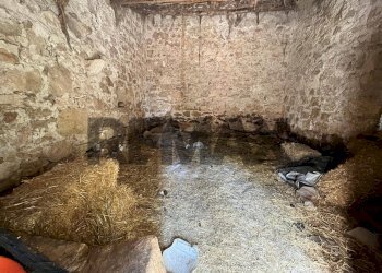 Non correlato - Rustico viale delle americhe
 
SN, Ragusa - foto 10