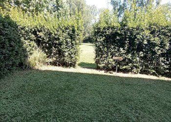 Foto 29 - Apartment via toscoromagnola, Pontedera - photo 29