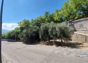 Giardino - Rustico via della Martella
 
1, Città Sant'Angelo - foto 2