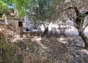 Giardino - Rustico via della Martella
 
1, Città Sant'Angelo - foto 4