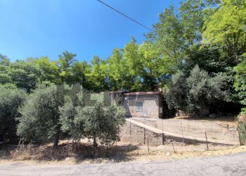 Giardino - Rustico via della Martella
 
1, Città Sant'Angelo - foto 8