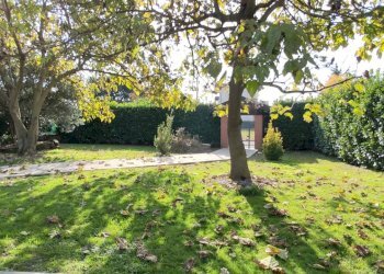 Giardino - Casa indipendente Via De Medici, Bellinzago Novarese - foto 7