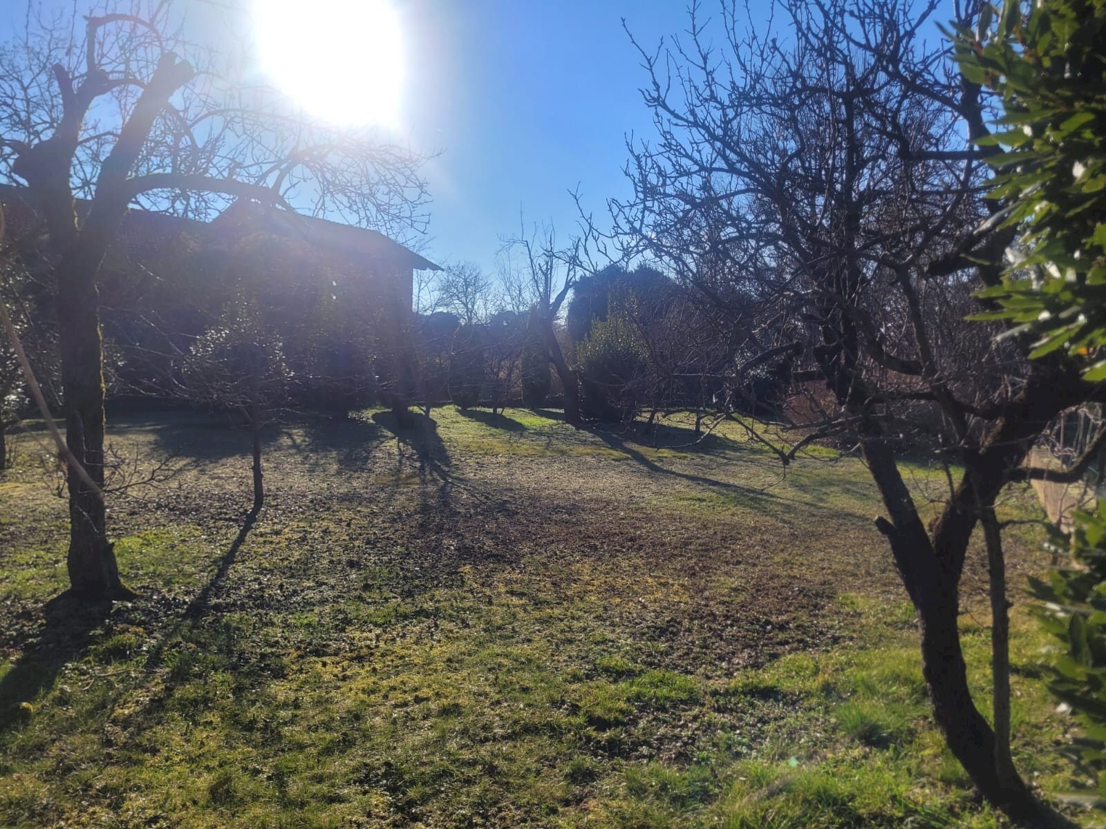 Giardino - Villa VIA CARLO PALMARO
1, Greggio - photo 2
