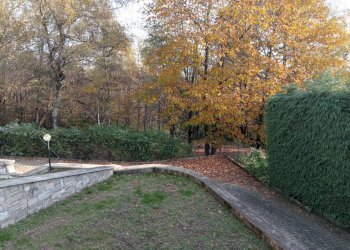 Giardino - Villa a Schiera Poggio Radioso, Nebbiuno - foto 11