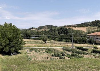 Foto 18 - Appartamento Spinetoli - foto 18