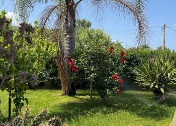 Giardino - Villa via Paolo Borsellino, Zambrone - foto 29