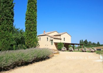 Villa Unifamiliare SP della Montagnola di Cetona, 13, San Casciano dei Bagni - foto 12