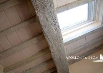Villa Unifamiliare SP della Montagnola di Cetona, 13, San Casciano dei Bagni - foto 22