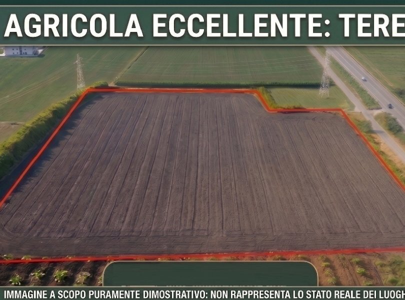 Terreno agricolo Mondragone - foto 2