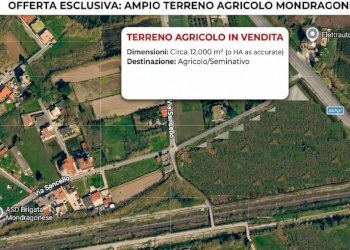 Agricultural land Mondragone - photo 1
