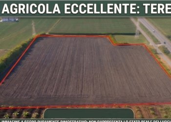 Agricultural land Mondragone - photo 2