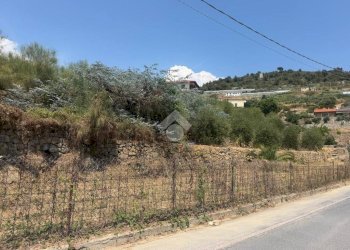 Terreno agricolo Str. delle Margherite, Bordighera - foto 2