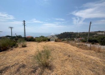 Terreno agricolo Str. delle Margherite, Bordighera - foto 3