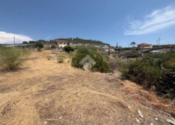Terreno agricolo Str. delle Margherite, Bordighera - foto 4