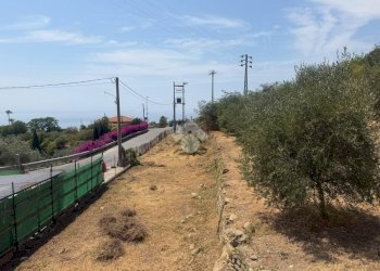 Terreno agricolo Str. delle Margherite, Bordighera - foto 6