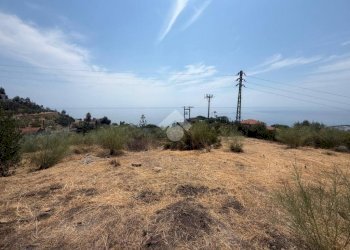 Terreno agricolo Str. delle Margherite, Bordighera - foto 9