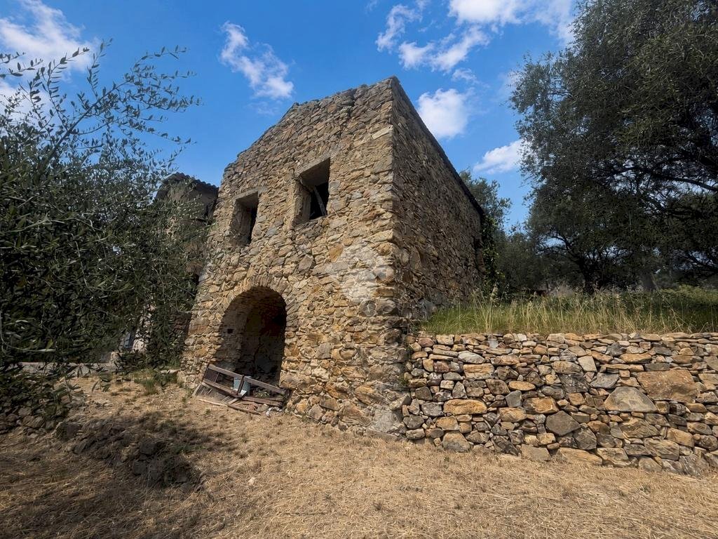 Rustico Strada Madonna del Carmine, Vallebona - foto 1