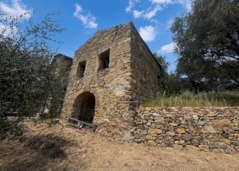 Rustico Strada Madonna del Carmine, Vallebona - foto 1