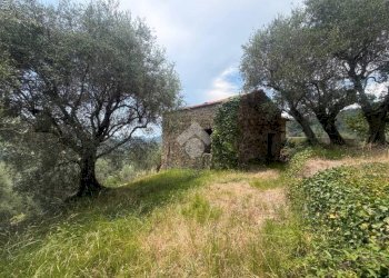 Rustico Strada Madonna del Carmine, Vallebona - foto 6