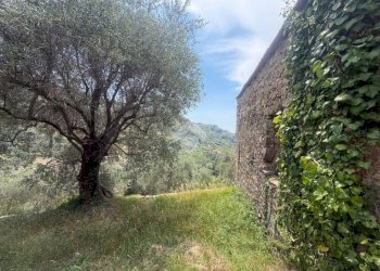 Rustico Strada Madonna del Carmine, Vallebona - foto 10